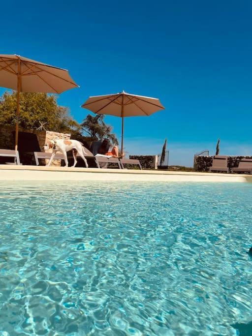 Dome Insolite Cedre Jacuzzi Et Petits Dejeuners Inclus Lagraulet-du-Gers ภายนอก รูปภาพ