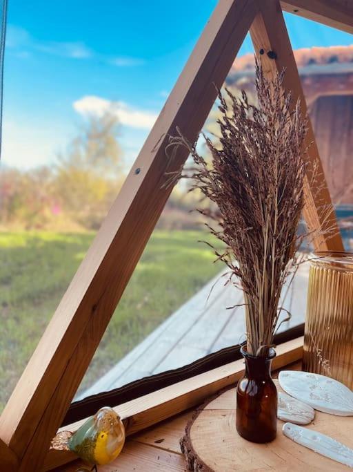 Dome Insolite Cedre Jacuzzi Et Petits Dejeuners Inclus Lagraulet-du-Gers ภายนอก รูปภาพ