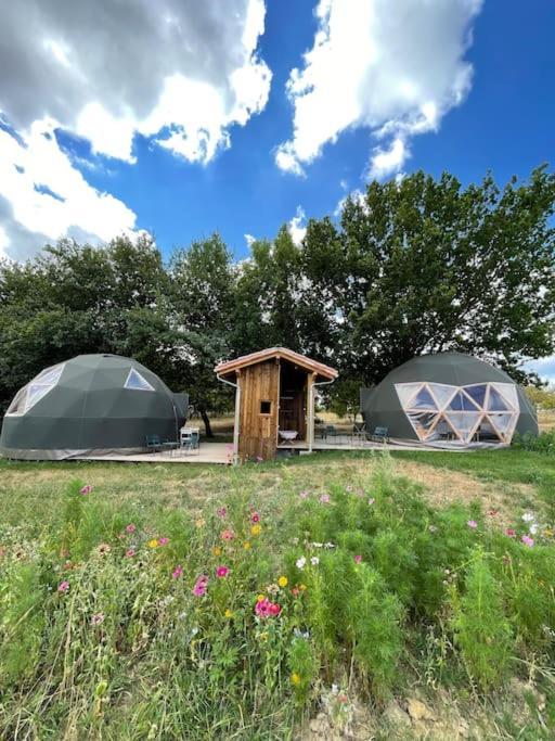 Dome Insolite Cedre Jacuzzi Et Petits Dejeuners Inclus Lagraulet-du-Gers ภายนอก รูปภาพ