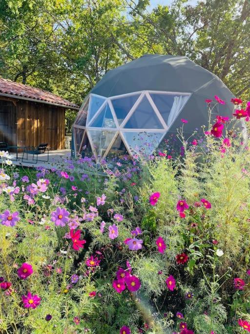 Dome Insolite Cedre Jacuzzi Et Petits Dejeuners Inclus Lagraulet-du-Gers ภายนอก รูปภาพ