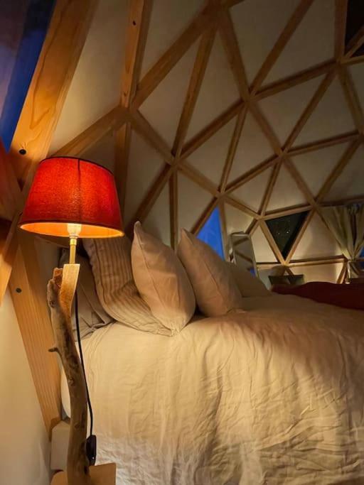 Dome Insolite Cedre Jacuzzi Et Petits Dejeuners Inclus Lagraulet-du-Gers ภายนอก รูปภาพ